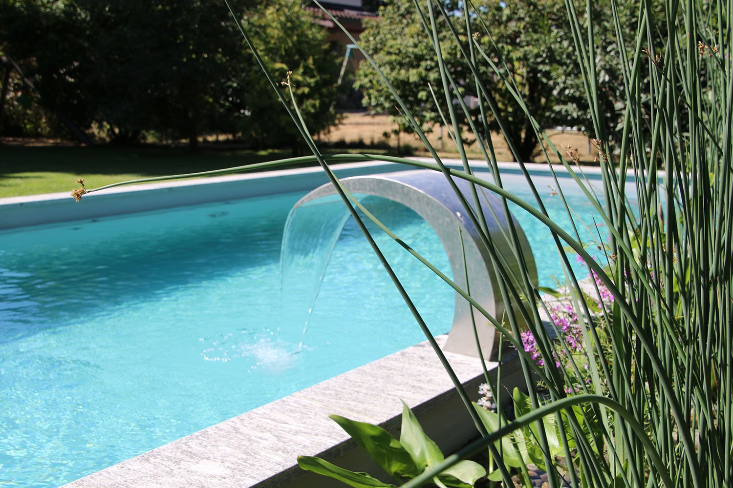 Bepflanzung für Biopool