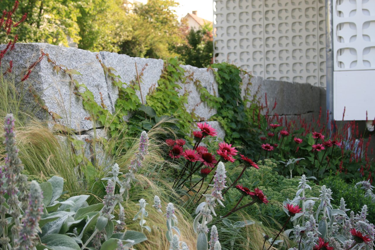 Staudenbepflanzung und Ziergras