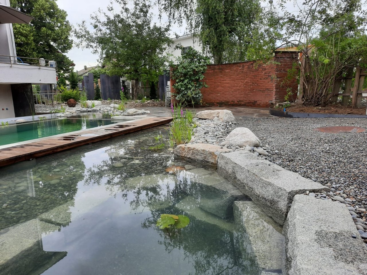 Gestaltung Naturpool mit Pflanzenbereich