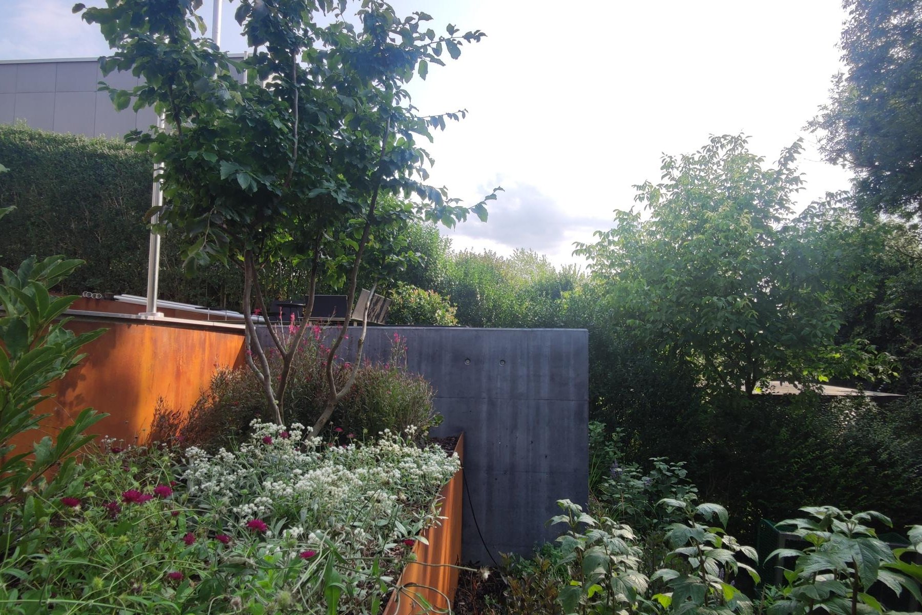 Gartengestaltung mit Swimmingpool an Hanglage