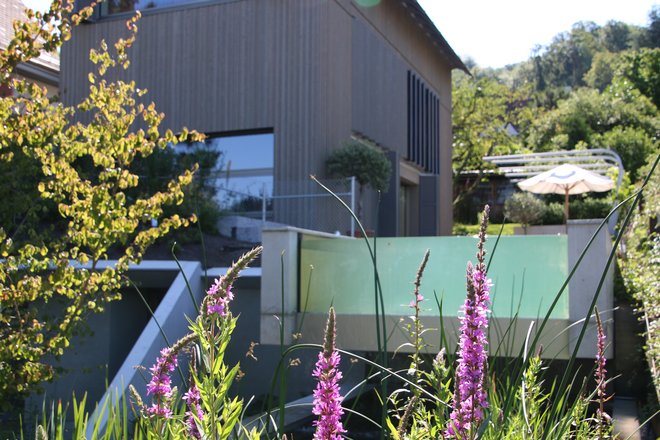 Wasserfall, Biopool, Naturpool