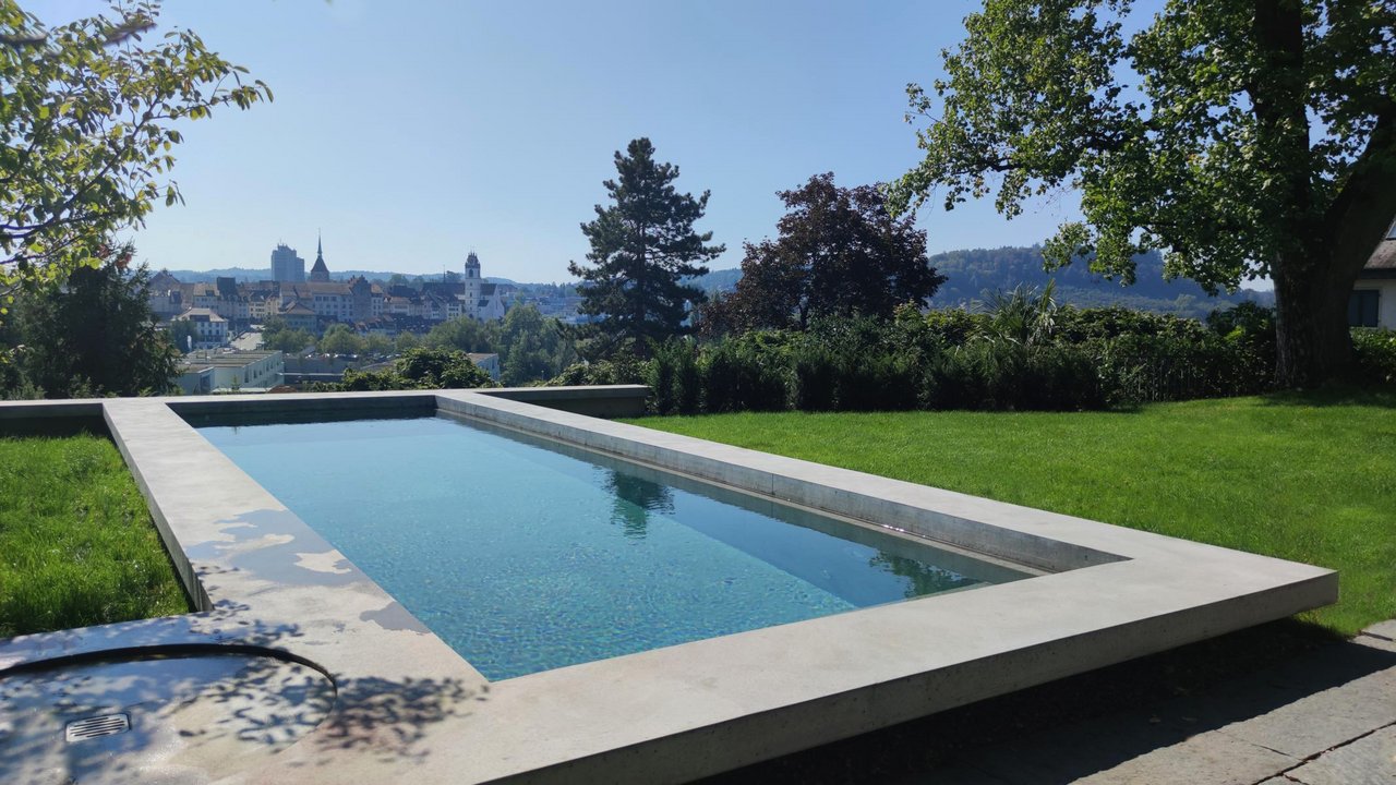 Moderner Garten mit Infinitypool