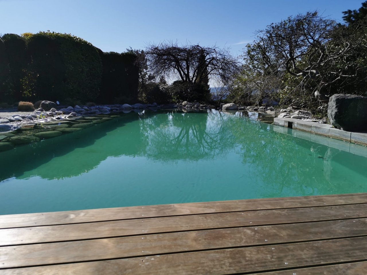 Schwimmteich mit Holzterrasse