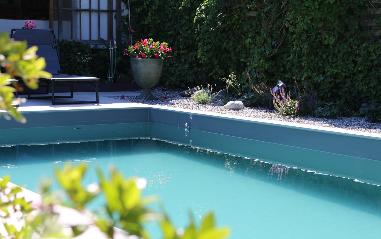 Naturpool sieht aus wie Chlorpool