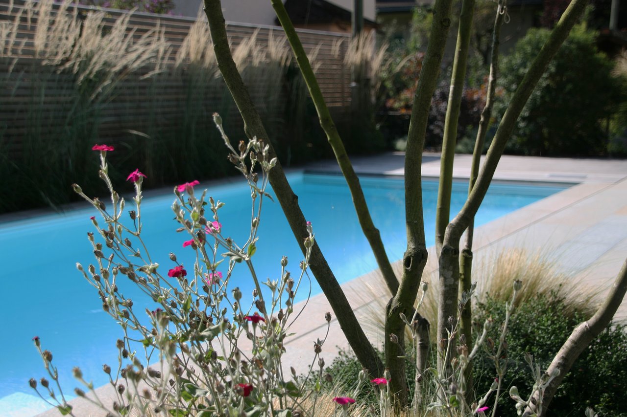 Swimmingpool im eigenen Garten