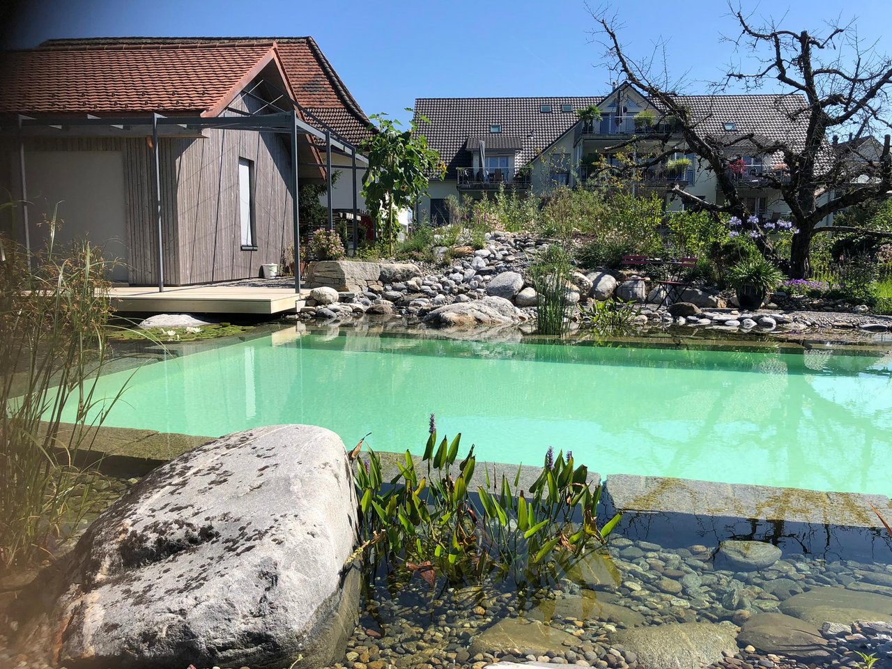 Schwimmteich nach Sanierung