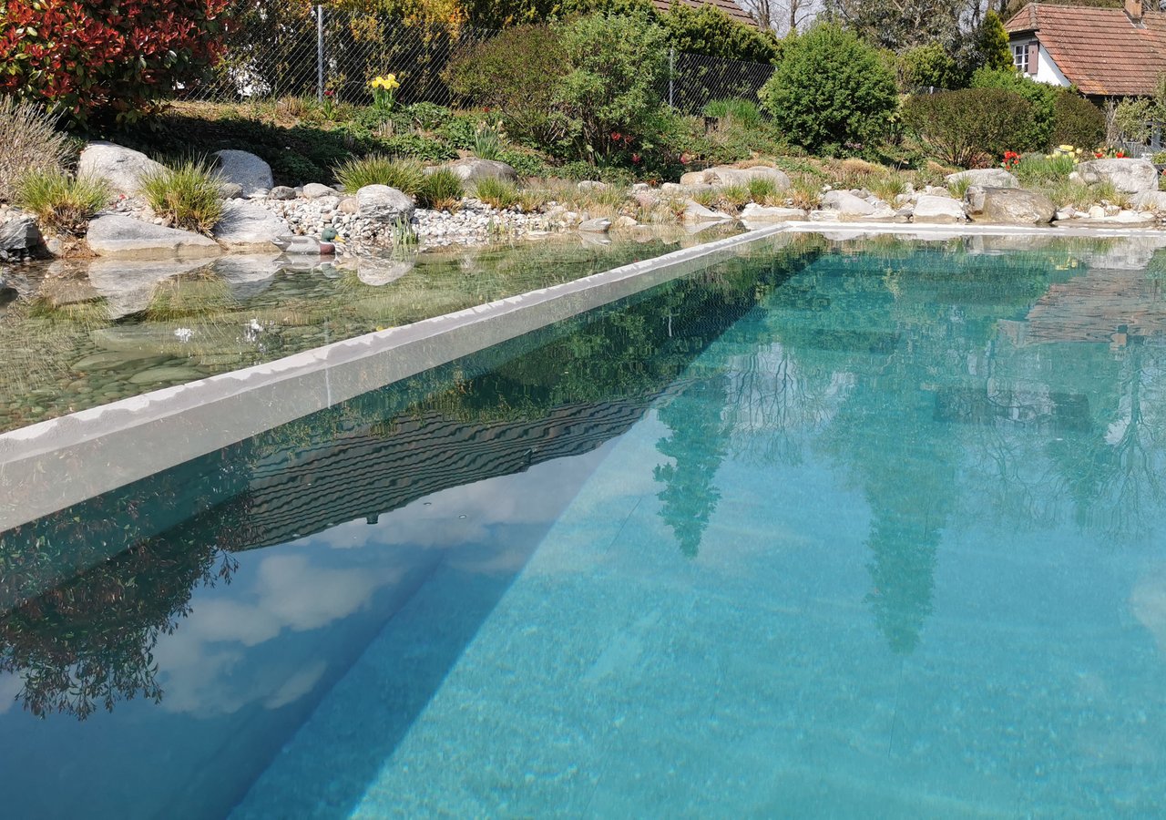 Schwimmbecken eines biopools mit randzonen