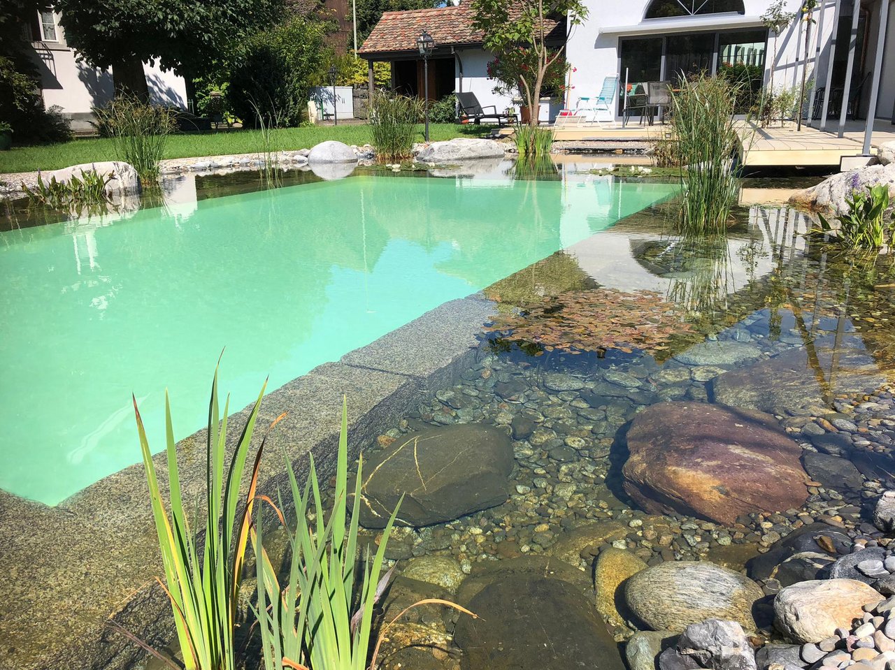 Schwimmteich nach Renovation