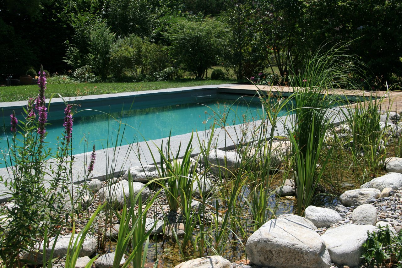 Biopool mit Wasserpflanzenzone