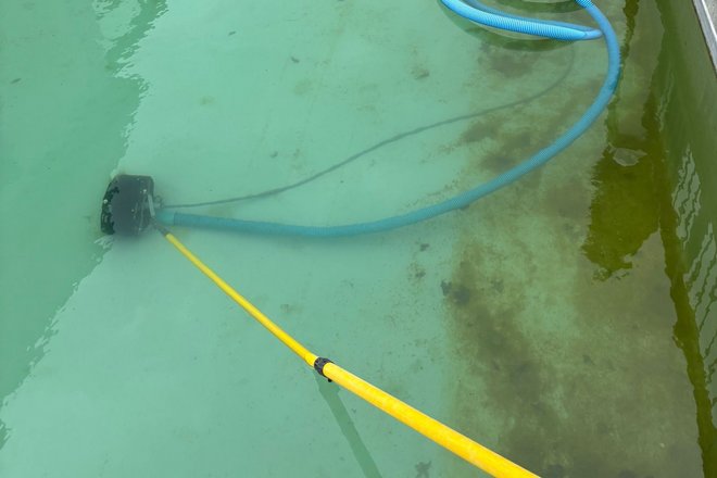 Schwimmteich reinigung Boden Schwimmteich reinigung Boden