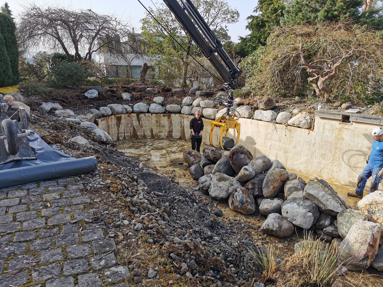 Teichrandbereiche einer Renovation