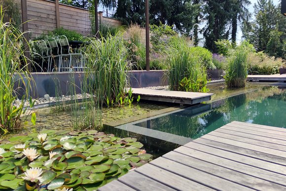 Naturpool mit Holzsteg und Seerosen