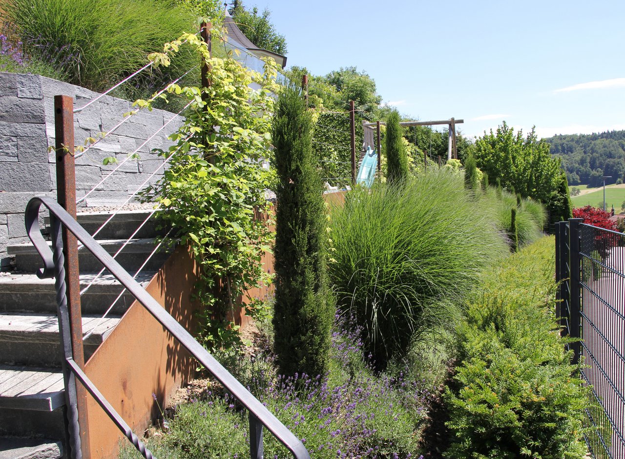 Eingangsbereich Garten mit Bepflanzung