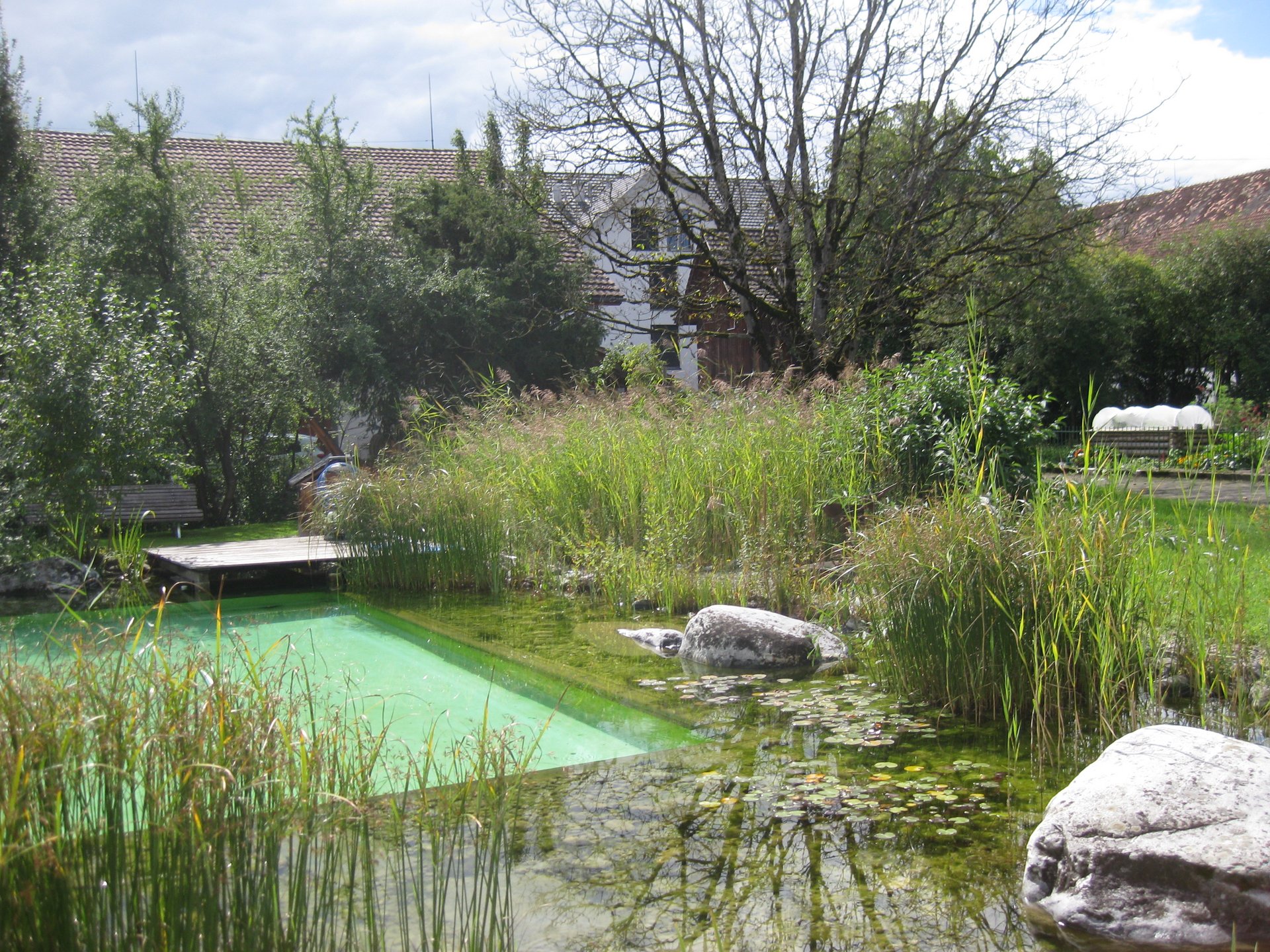 Renovation schwimmteichanlage