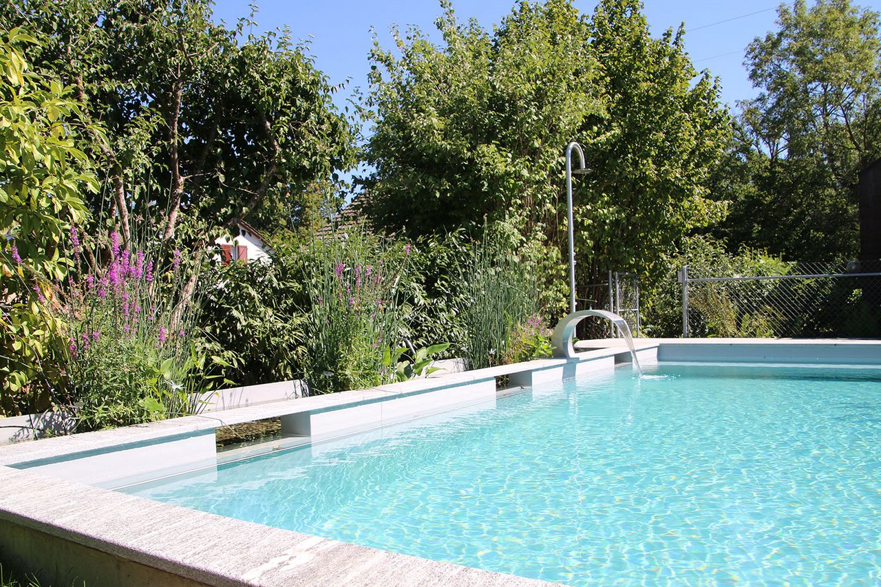 Naturpool mit Pflanzenfilter