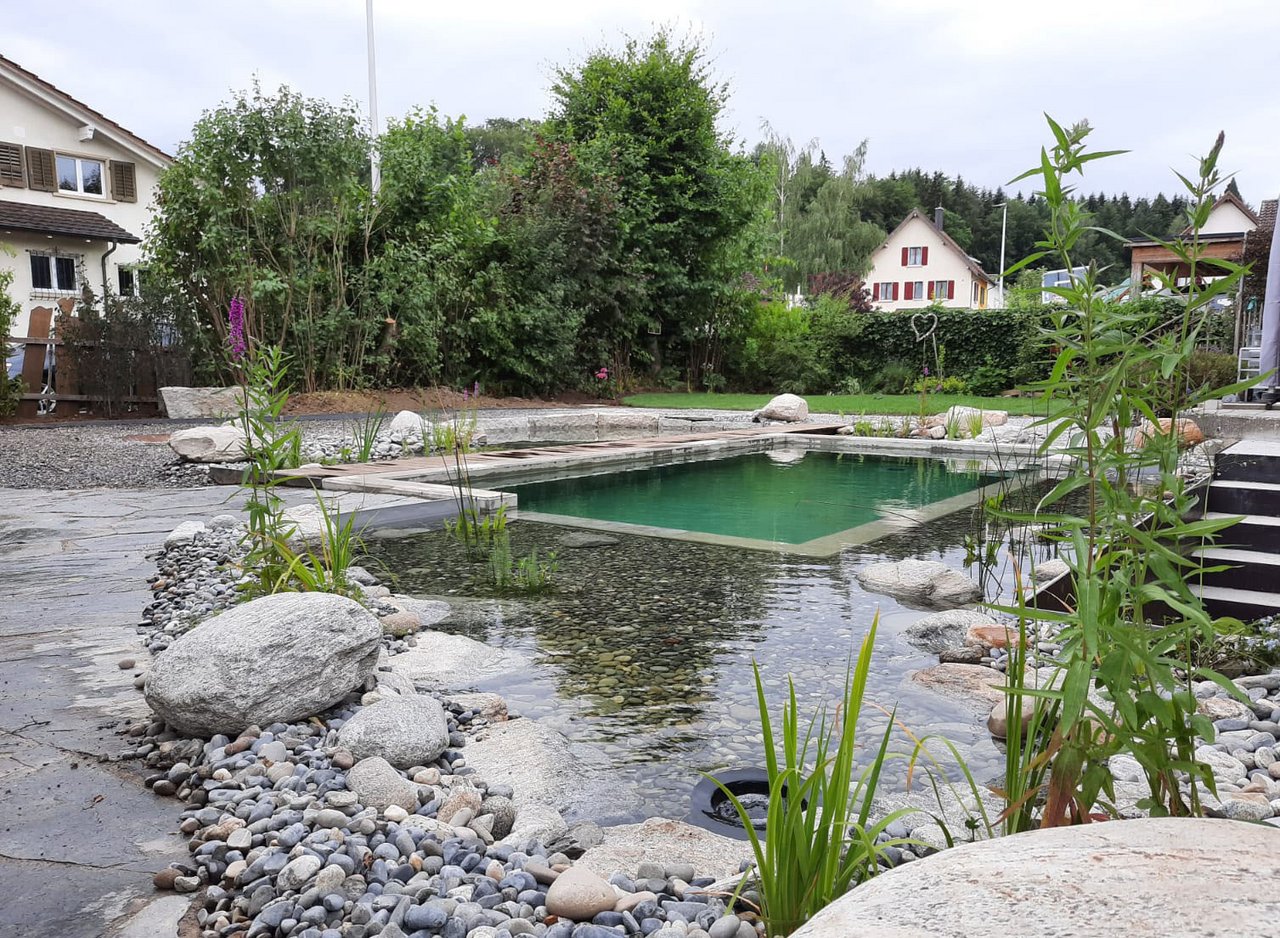 Gartenprojekt mit Naturpool und Wasserpflanzenzone