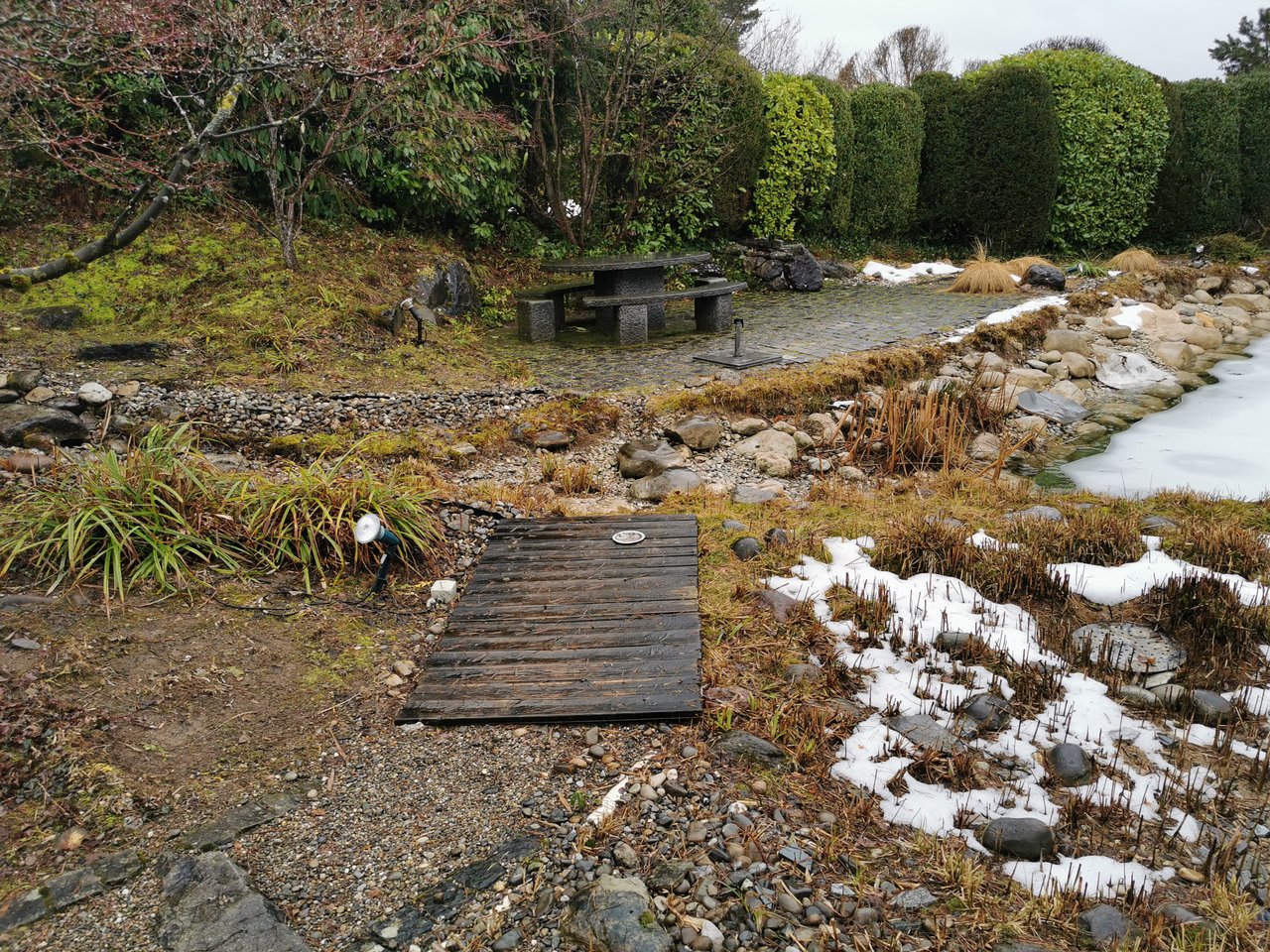 Schwimmteich Randbereiche überwuchert