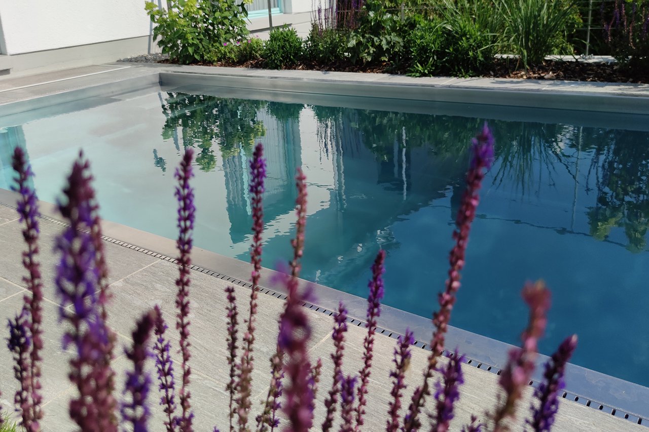 Swimmingpool aus Edelstahl, lila Salbeiblüten