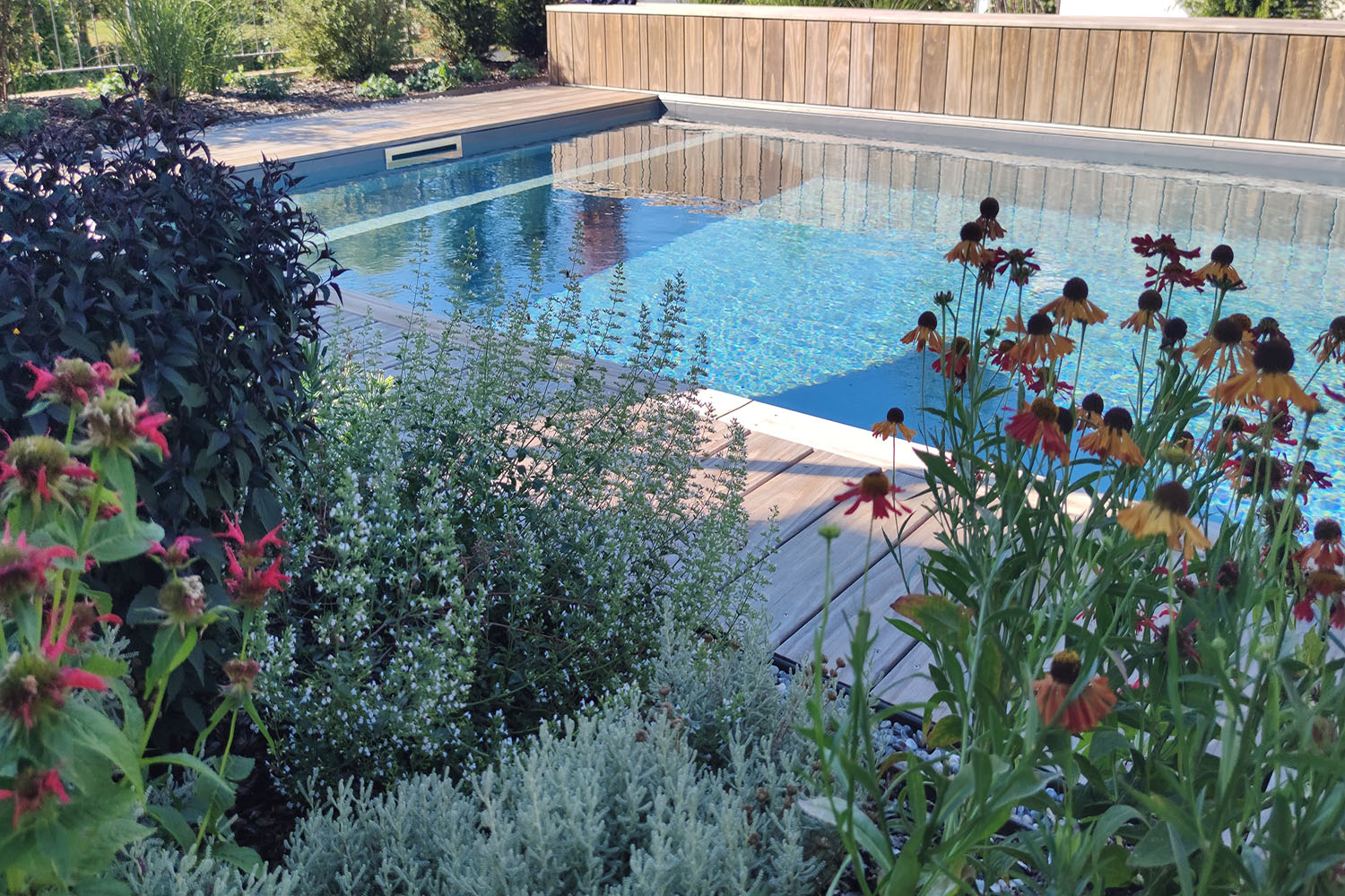 Staudenbeete rund um Swimmingpool Blütenbeete am Swimmingpool