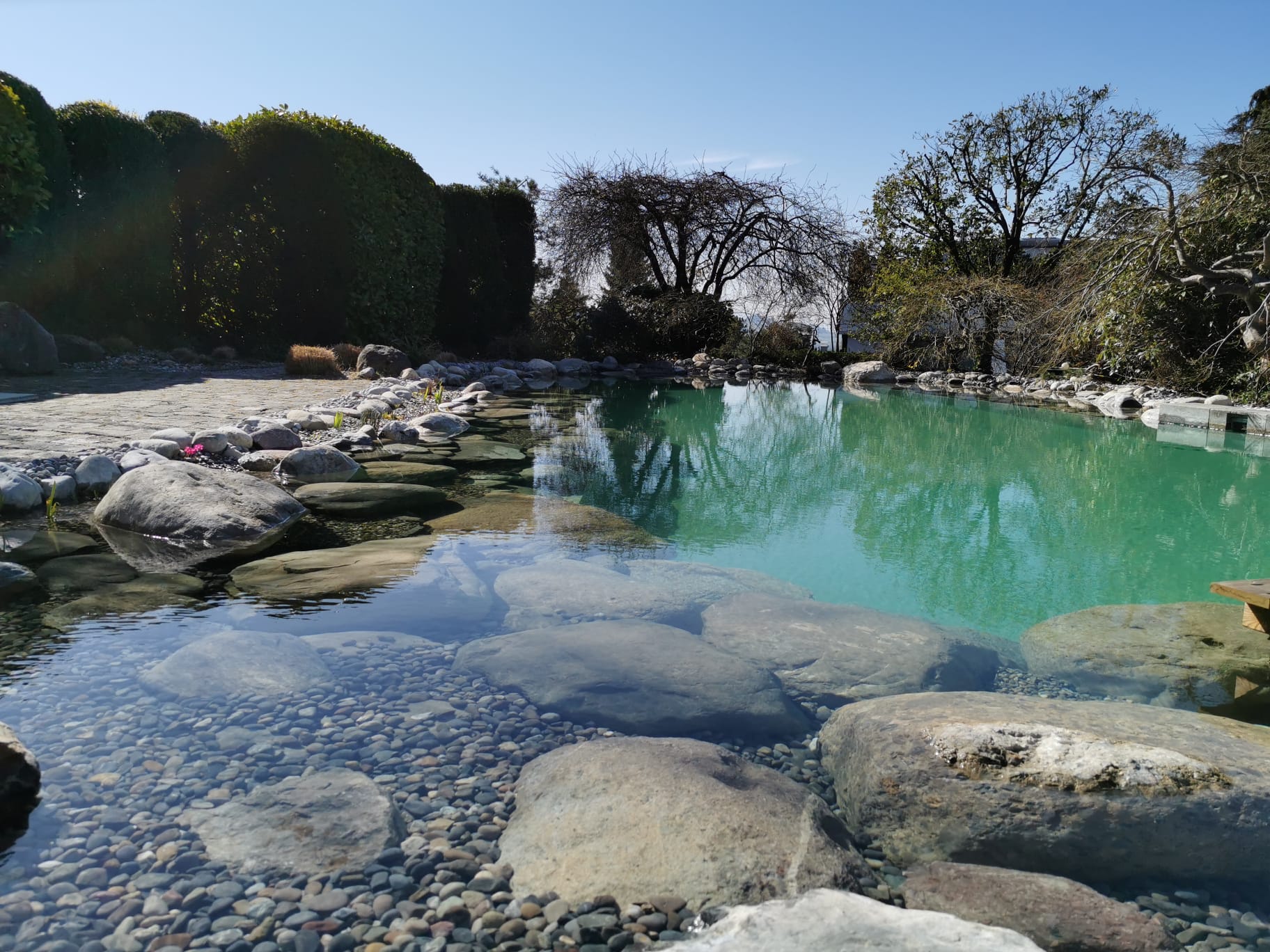Schwimmteich neu gestaltet