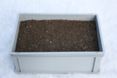 Pflanzenkisten gefüllt mit Substraten.JPG